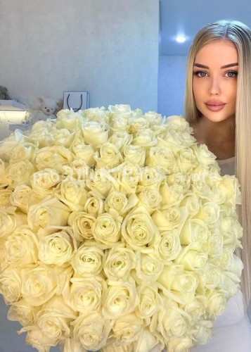 Настя, Г. Вычегодский